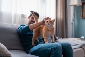 Pet Sitting Services Near Me