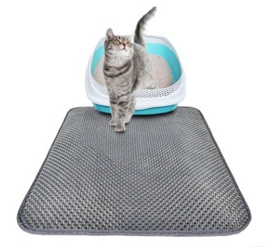 Tabby cat stepping out of litter box